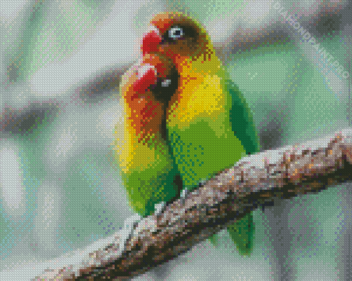 Aesthetic Parrot Love Bird Diamond Painting