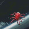 Aesthetic Red Spider Diamond Painting