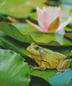 Aesthetic Frog Lily Diamond Painting