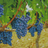 Aesthetic Grapevines Diamond Painting