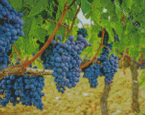 Aesthetic Grapevines Diamond Painting