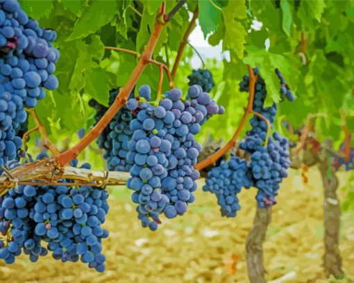 Aesthetic Grapevines Diamond Painting