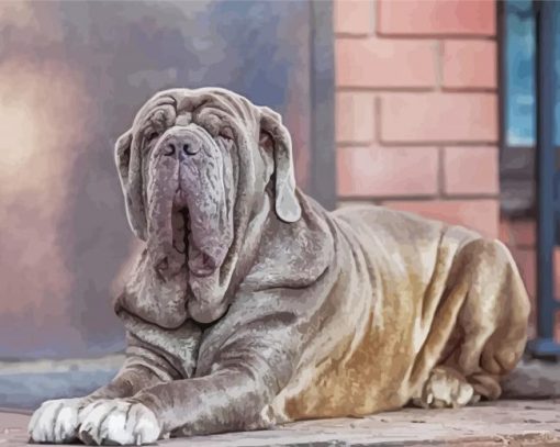 Aesthetic Neapolitan Mastiff Dog Diamond Painting