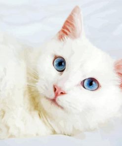Aesthetic White Cat Animal Diamond Painting