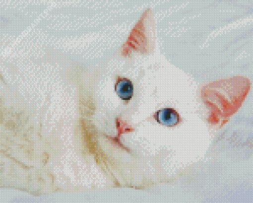 Aesthetic White Cat Animal Diamond Painting