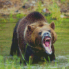 Angry Bear In Water Diamond Painting