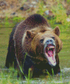 Angry Bear In Water Diamond Painting