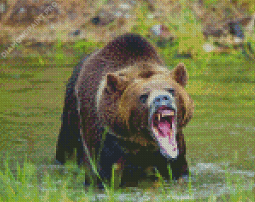 Angry Bear In Water Diamond Painting