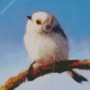 Bird Listening To Music Lucia Hefferna Diamond Painting