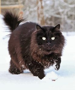 Black Large Fluffy Cat In Snow Diamond Painting
