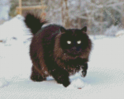 Black Large Fluffy Cat In Snow Diamond Painting