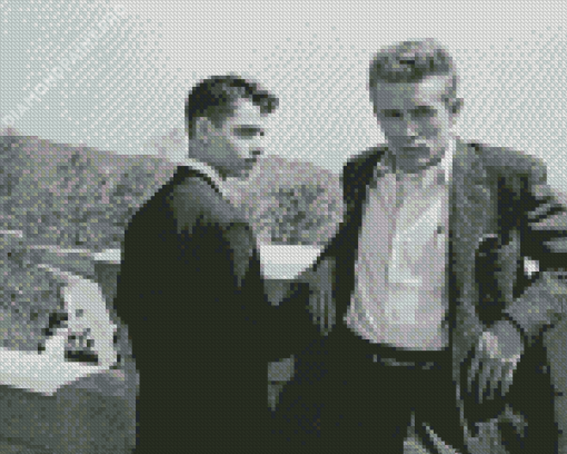 Black And White Rebel Without A Cause Diamond Painting