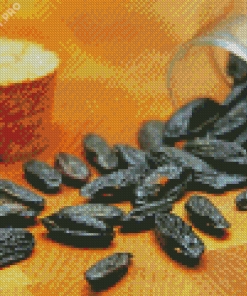 Black Tonka Beans Diamond Painting