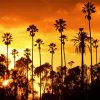 California Palm Trees Diamond Painting