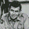 Andy Griffith Diamond Painting