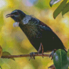 Black Tui Bird On Branch Diamond Painting