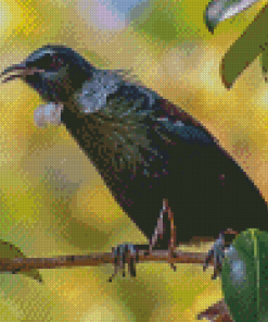 Black Tui Bird On Branch Diamond Painting