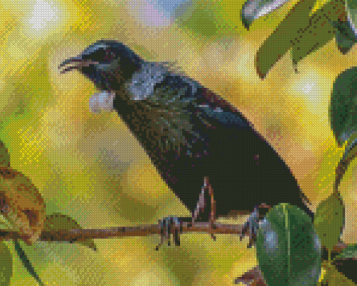 Black Tui Bird On Branch Diamond Painting