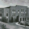 Black And White Cameron Indoor Stadium Diamond Painting