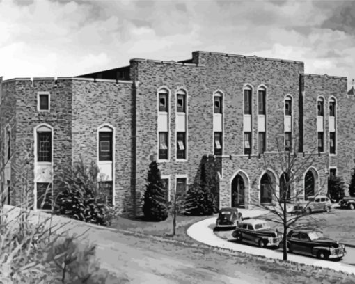 Black And White Cameron Indoor Stadium Diamond Painting