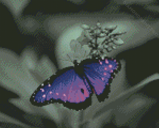 Black And Purple Butterfly With Flower Diamond Painting