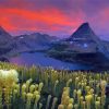 Glacier National Park Beargrass Plants Diamond Painting