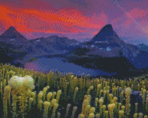 Glacier National Park Beargrass Plants Diamond Painting