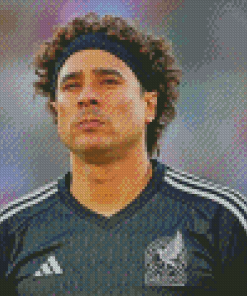 Guillermo Ochoa Football Player Diamond Painting