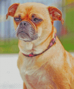 The Pugwawa Dog Diamond Painting