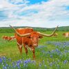 Aesthetic Bluebonnets And Longhorn Diamond Painting