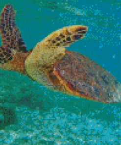 Aesthetic Hawaii Turtle Diamond Painting