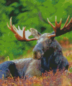 Aesthetic Moose Wildlife Diamond Painting