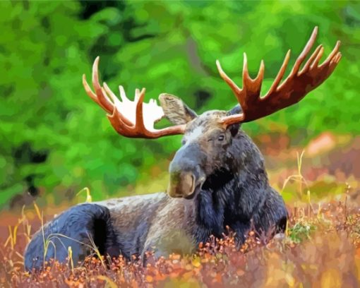 Aesthetic Moose Wildlife Diamond Painting