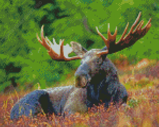 Aesthetic Moose Wildlife Diamond Painting