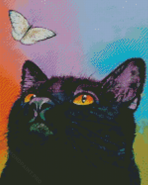 Black Kitten With Buterflight Diamond Painting