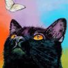 Black Kitten With Buterflight Diamond Painting