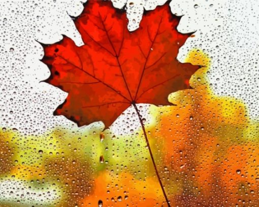 Cool Maple In The Rain Diamond Painting