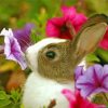 Cute Baby Bunny With Flowers Diamond Painting