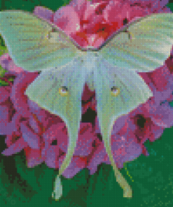 Lunar Moth On Flowers Diamond Painting