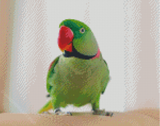 Alexandrine Parakeet Parrot Diamond Painting
