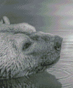 Black And White Bear Head In Water Diamond Painting