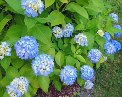 Blue Hydrangea Flowering Plant Diamond Painting