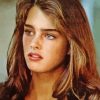 Brooke Shields In Her 20s Diamond Painting