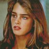 Brooke Shields In Her 20s Diamond Painting