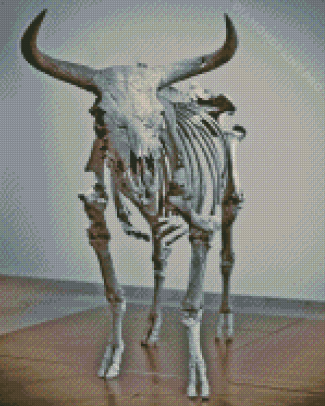 Bull Skeleton Copenhagen Aurochs Diamond Painting
