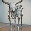 Bull Skeleton Copenhagen Aurochs Diamond Painting