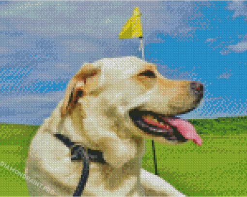 Golf Dog Diamond Painting