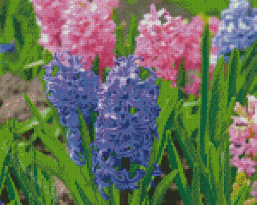 Hyacinth Flowers Plant Diamond Painting