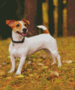Jack Terrier Diamond Painting