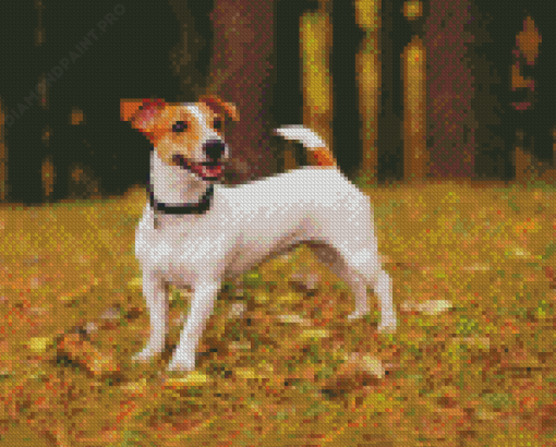 Jack Terrier Diamond Painting